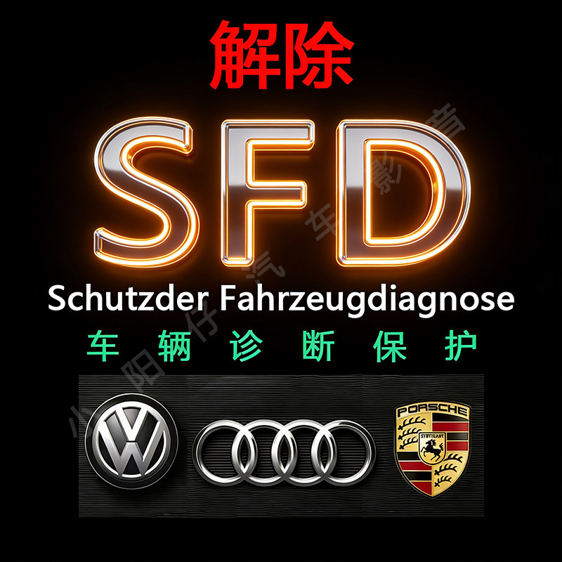 大众奥迪斯柯达SFD在线密码解锁图片