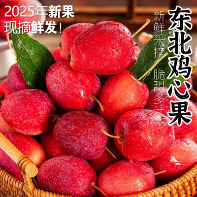 正宗东北鸡心果5锦绣海棠果特产沙果小苹果水果新鲜整箱当季包邮