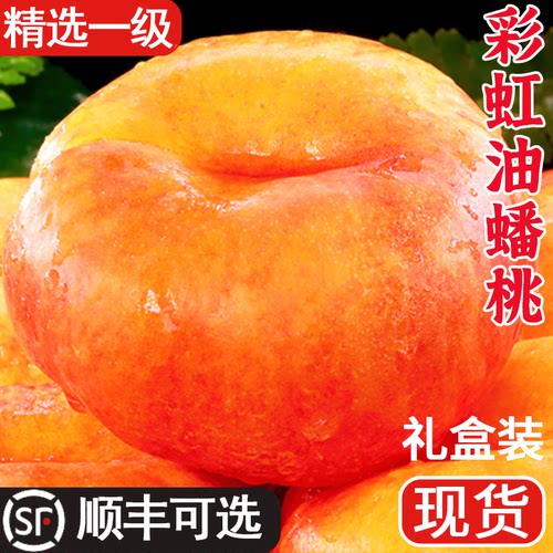蒙阴当季彩虹油蟠桃整箱包邮