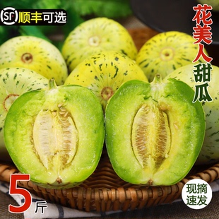山东花美人甜瓜产地直发香甜多汁皆宜薄皮新鲜水果当季甜瓜3/5斤