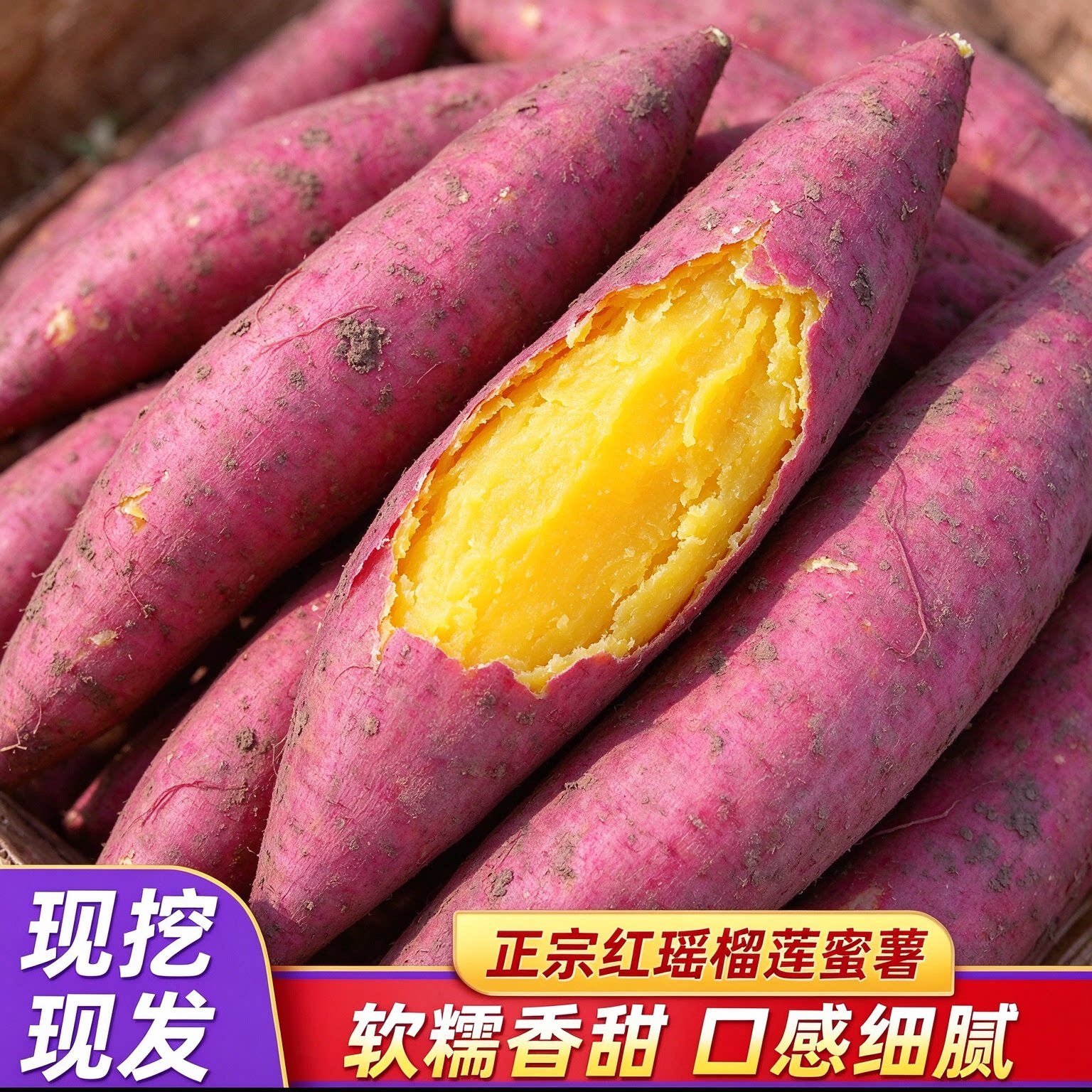 红瑶榴莲蜜薯小香薯正宗农家自种红薯新鲜10斤番薯农家烤地瓜山芋