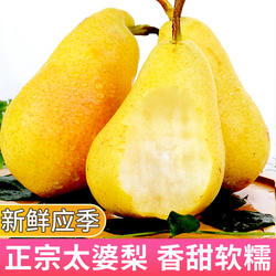 太婆梨10斤新鲜水果当季整箱包邮香蕉梨东北茄梨大头梨子时令包邮