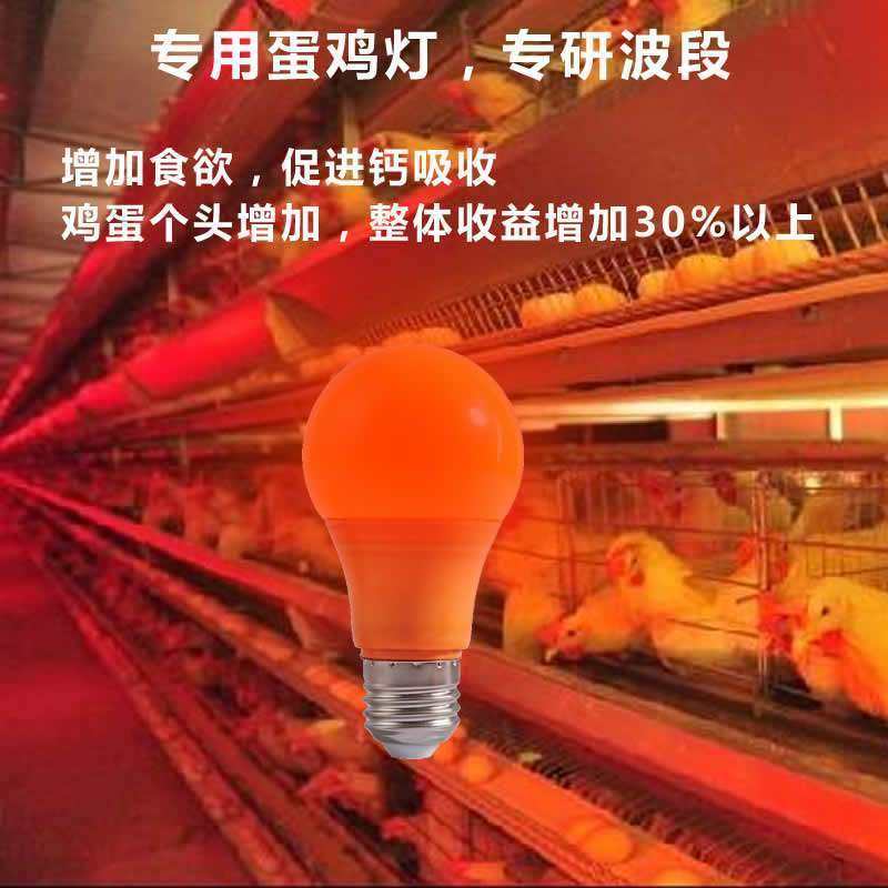 蛋鸡肉鸡灯鸡苗养殖灯雏鸡专用led灯泡橘红粉红蓝绿黄专业养殖灯