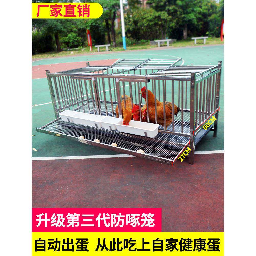 不锈钢鸡笼家用室外滚鸡蛋大号特大蛋鸡养殖笼自动出蛋养殖场多层
