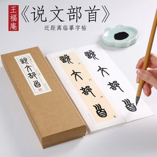 王福庵 篆书《说文部首》毛笔书法字帖王福安字卡小篆初学者基础入门字卡碑帖教程近距离临摹字帖卡纸中作乐