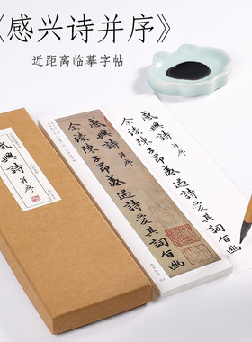 元 赵孟俯 行书《感兴诗并序》赵孟頫书法毛笔临摹高清练字帖近距离对临字卡 纸中作乐