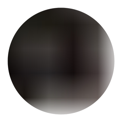 斑马纹帆布包包女2021托特包小众