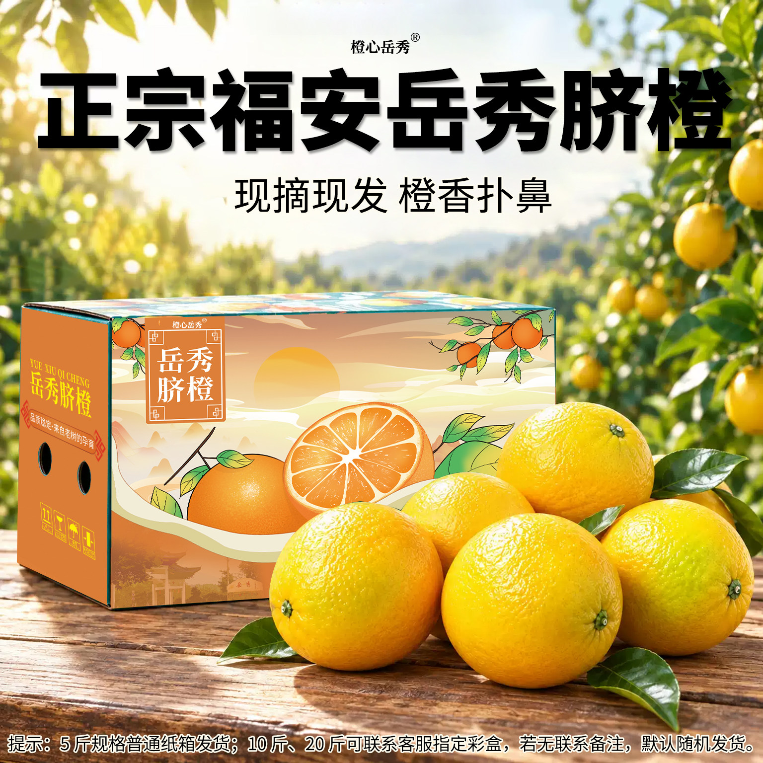 福安岳秀脐橙当季鲜采整箱