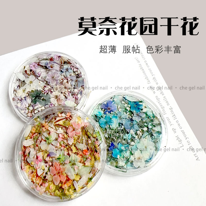 日系blc莫奈油画干花瓣美甲ins风新款小花朵郁金香DIY指甲装饰品图片