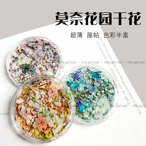 blc同款郁金香小花朵ins风油画