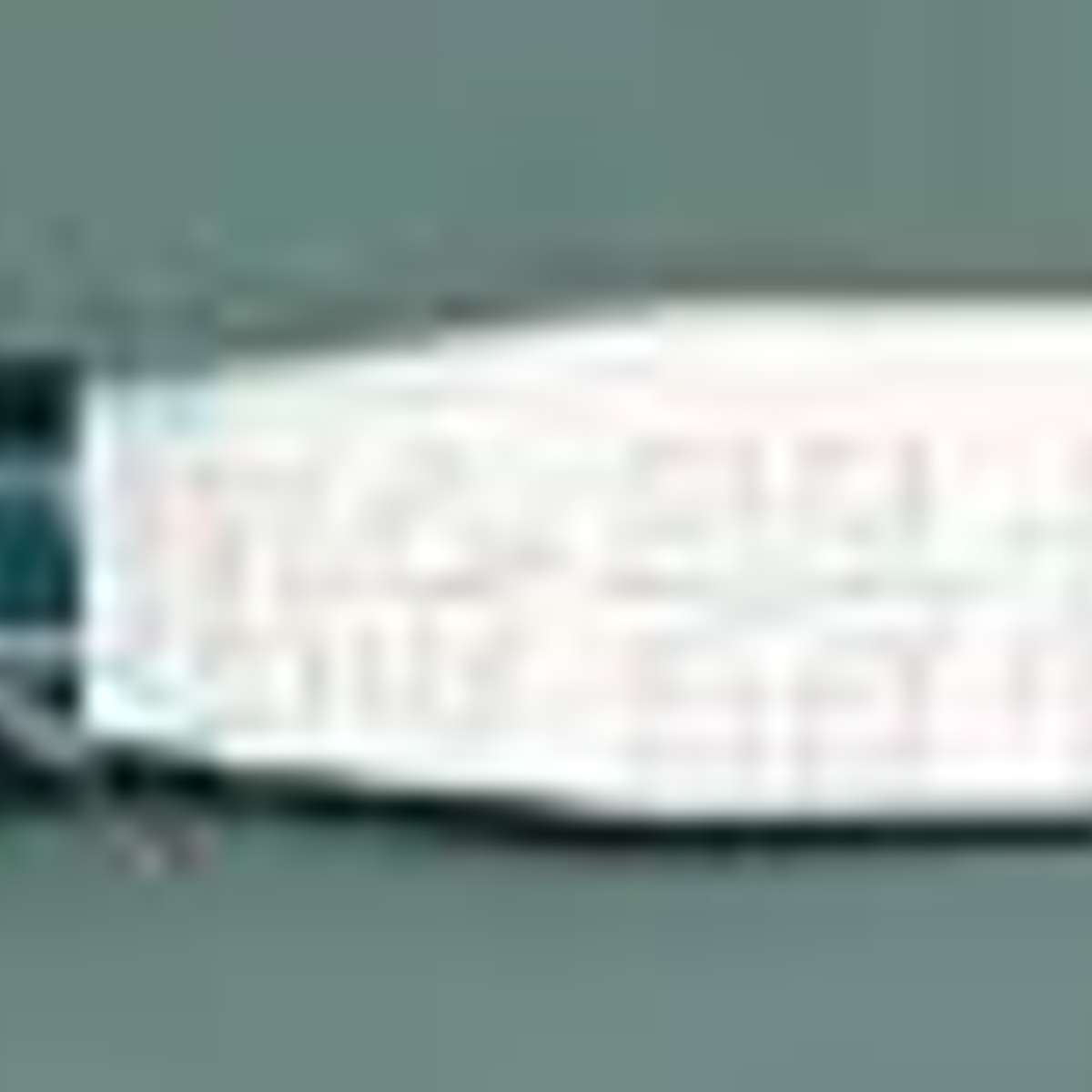 fisher刮刀 带手柄刮刀 14-366D 刀片长度：15cm 耐酸沸水