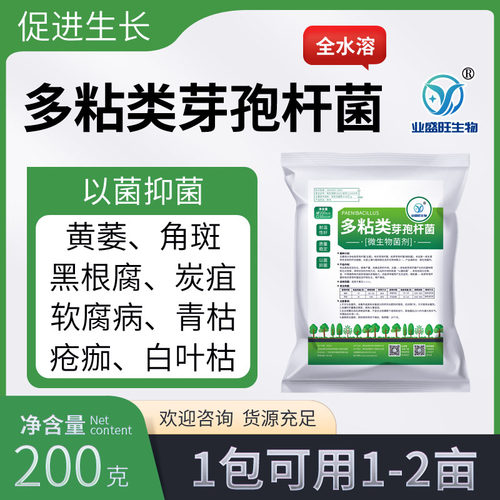 业盛旺生物全水溶多粘类芽孢杆菌