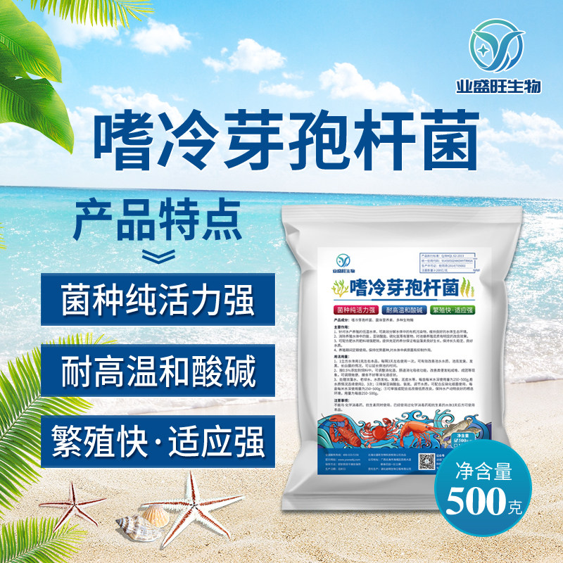 业盛旺嗜冷芽孢杆菌水产养殖分解有机质抑制蓝藻污水处理专用菌种
