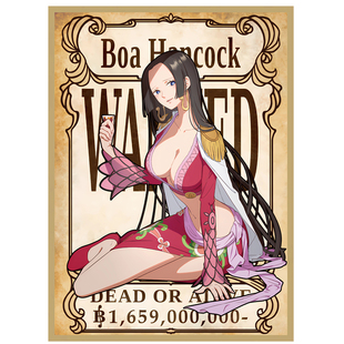 海贼王OPCG女帝波雅·汉库克卡套航海王PTCG万智牌套卡牌保护妹套