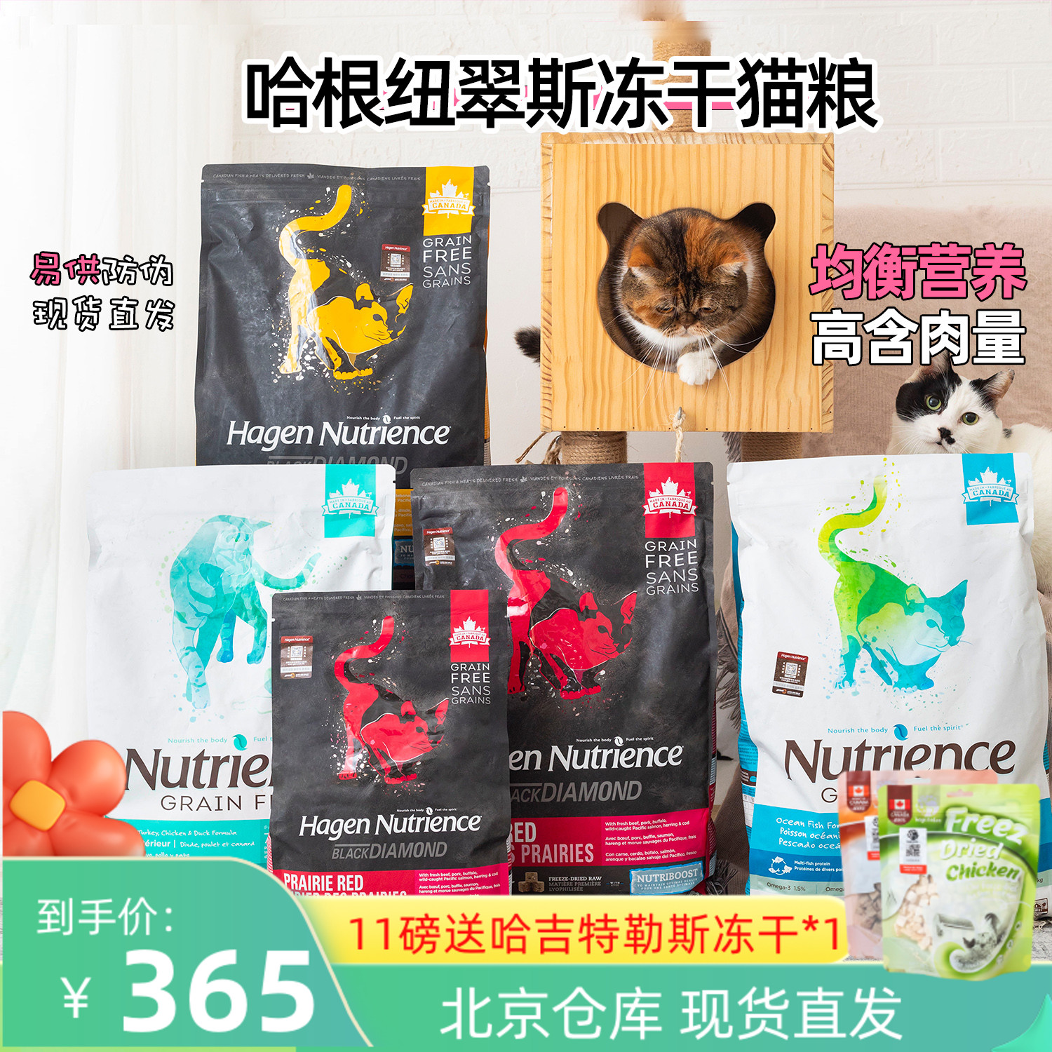 哈根纽翠斯黑钻红肉鸡肉成猫幼猫猫粮天然无谷鲜肉含冻干猫粮11磅