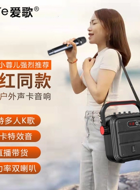 爱歌TX02音箱户外音响k歌带声卡乐器广场舞直播话筒蓝牙小型唱歌