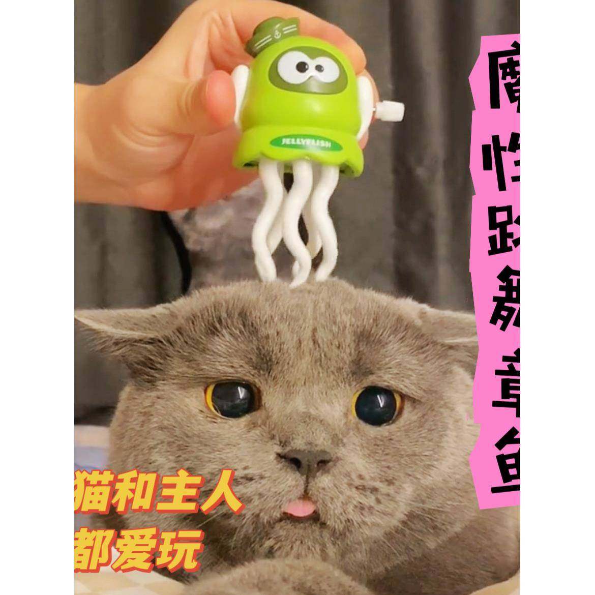 猫咪玩具魔性跳舞章鱼逗猫棒自嗨解闷互动消耗体力耐啃咬宠物用品,宠物/宠物食品及用品,宠物智能玩具,淘宝优惠券,粉丝福利购,淘宝优惠卷