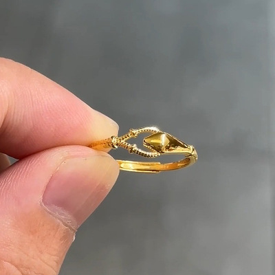 ins灵蛇衔尾戒指2025新款本命年
