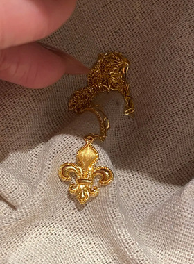 复古高级感拉丝璀璨鸢尾花项链女