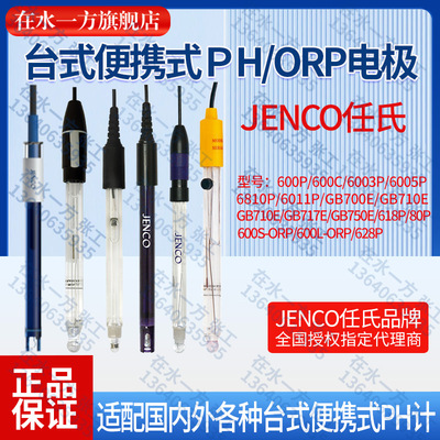 600P6003P6005P6810PPH电极