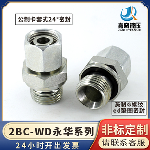 WD永华英制G螺纹ed胶垫密封内外丝转卡套H型活接液压接头碳钢 2BC