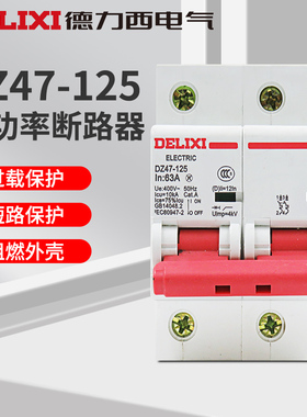 德力西 DZ47-125 2P 63 80 100 125A 大电流断路器大功率空开