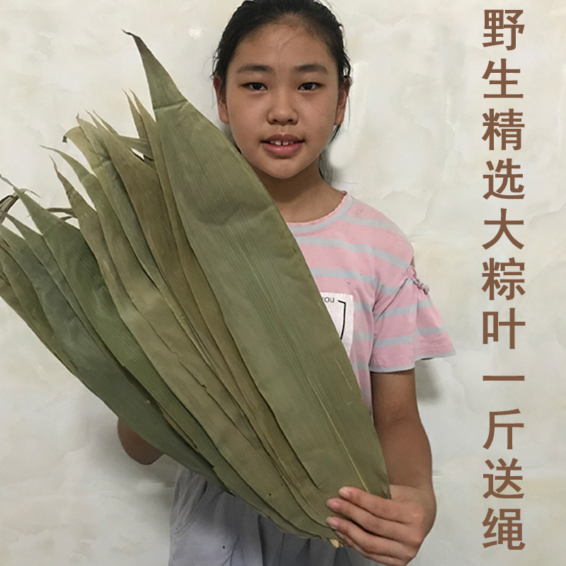 干粽叶新粽子叶农家野生包粽子专用叶子棕叶竹叶零添加1斤送绳子