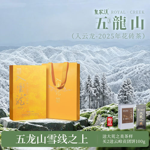 白沙溪五龙山入云龙花砖茶500g