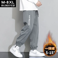 Серый (все в одном бархате)￥ специальная цена, подходит для 5-15 градусов.