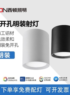 西顿照明LED免开孔明装吸顶筒灯客厅走廊过道天花灯CEX9101C-A