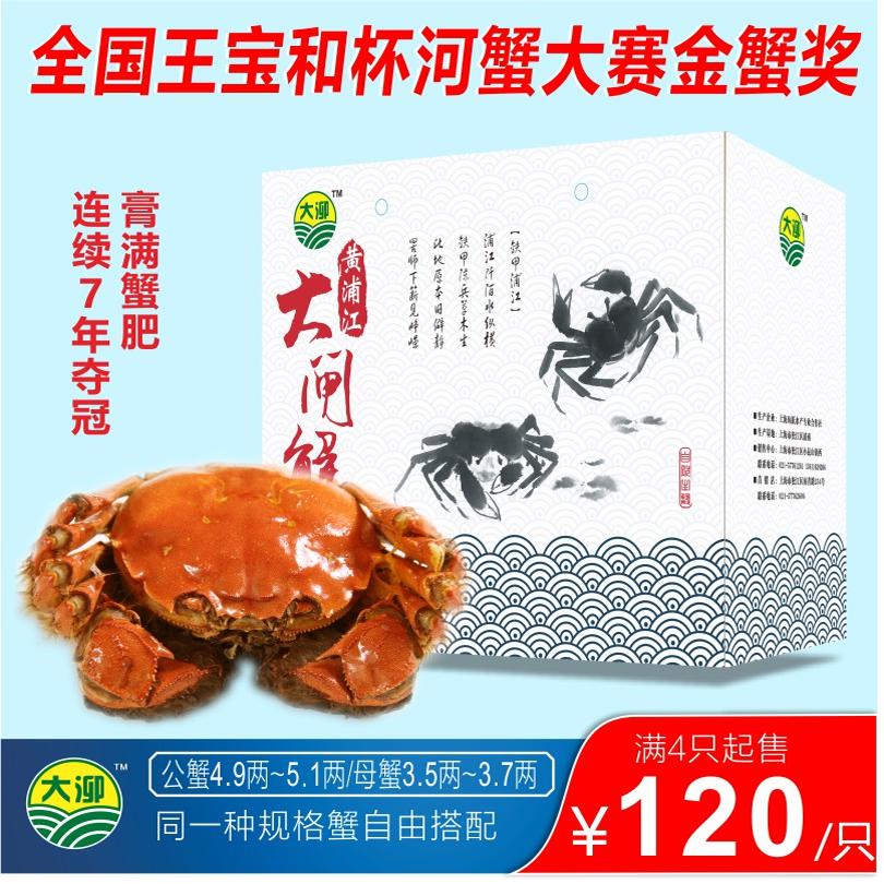 上海大泖牌黄浦江大闸蟹活物同城本地鲜活 水产螃蟹 4只起售