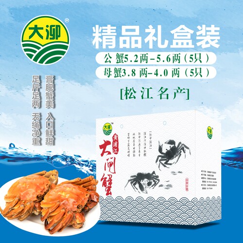 上海黄浦江大闸蟹大泖本地鲜活