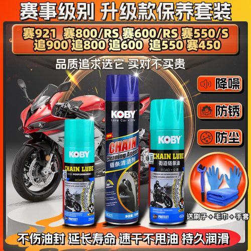 适用钱江赛/追800 600RS 550S 921链条油蜡450润滑清洗剂保养套装