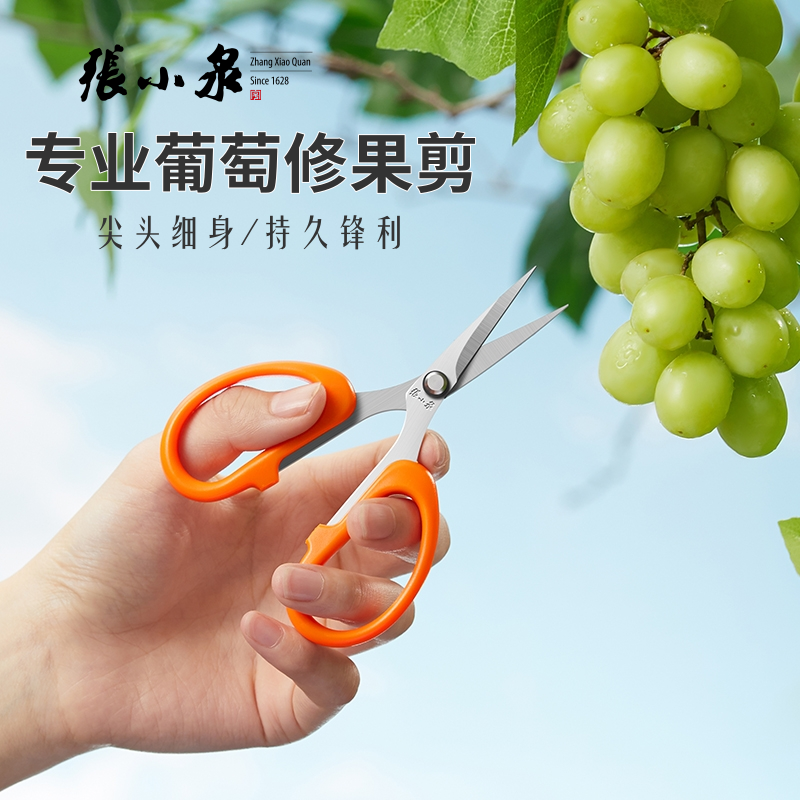张小泉小剪刀葡萄剪家用小剪尖头