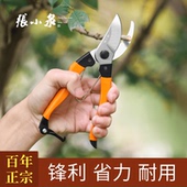张小泉园艺剪枝剪刀修枝剪果树枝剪树枝专用剪园林粗枝花艺剪正宗
