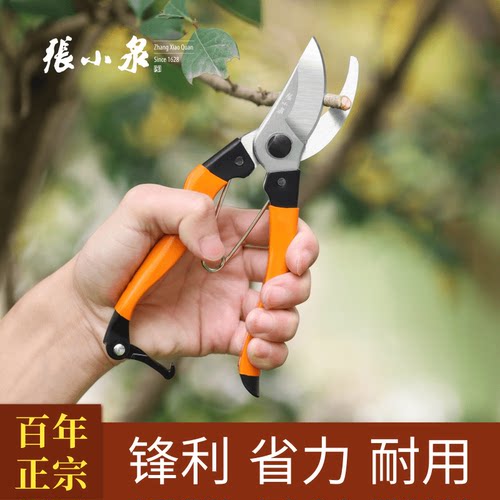 张小泉修枝剪果树园艺树枝专用