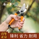 张小泉园艺剪枝剪刀修枝剪果树枝剪树枝专用剪园林粗枝花艺剪正宗