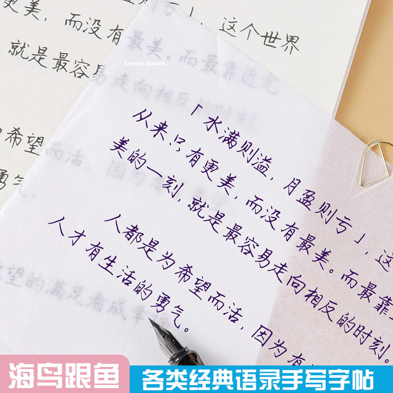 海鸟跟鱼唯美女生字帖贴清秀楷书练字大学生成人手写体文艺小清新
