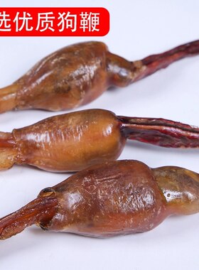 黄狗鞭新鲜黄狗肾食用泡汤中药材狗鞭干整根35克左右整根狗鞭包邮