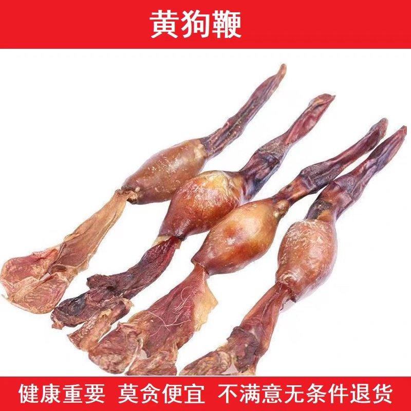 黄狗鞭新鲜黄狗肾食用泡汤中药材