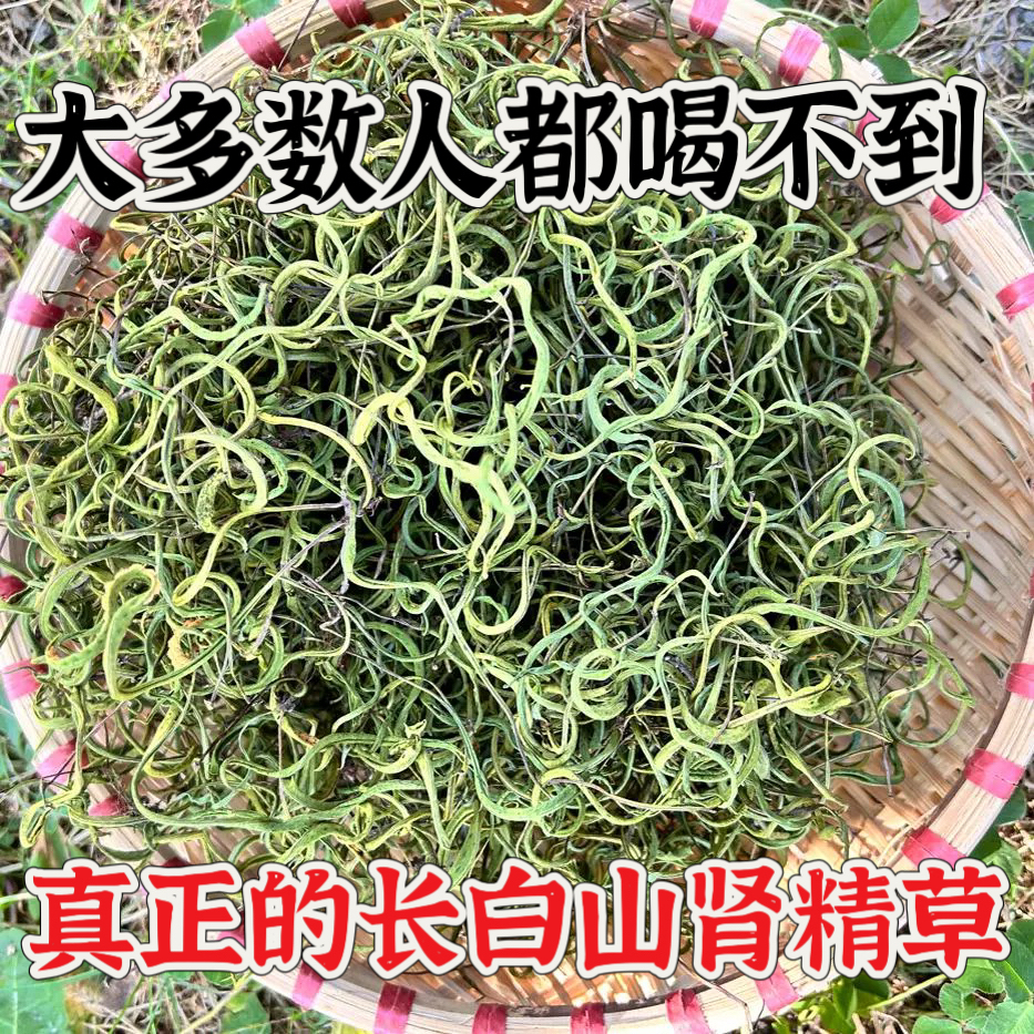 长白山肾精茶黄金草嗷嗷叫肾精草