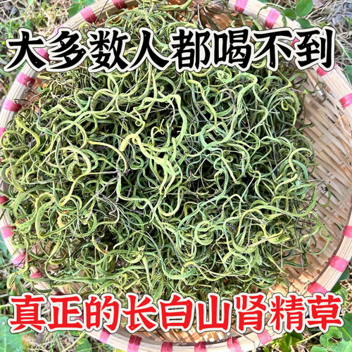 长白山肾精黄金草嗷嗷叫肾精草