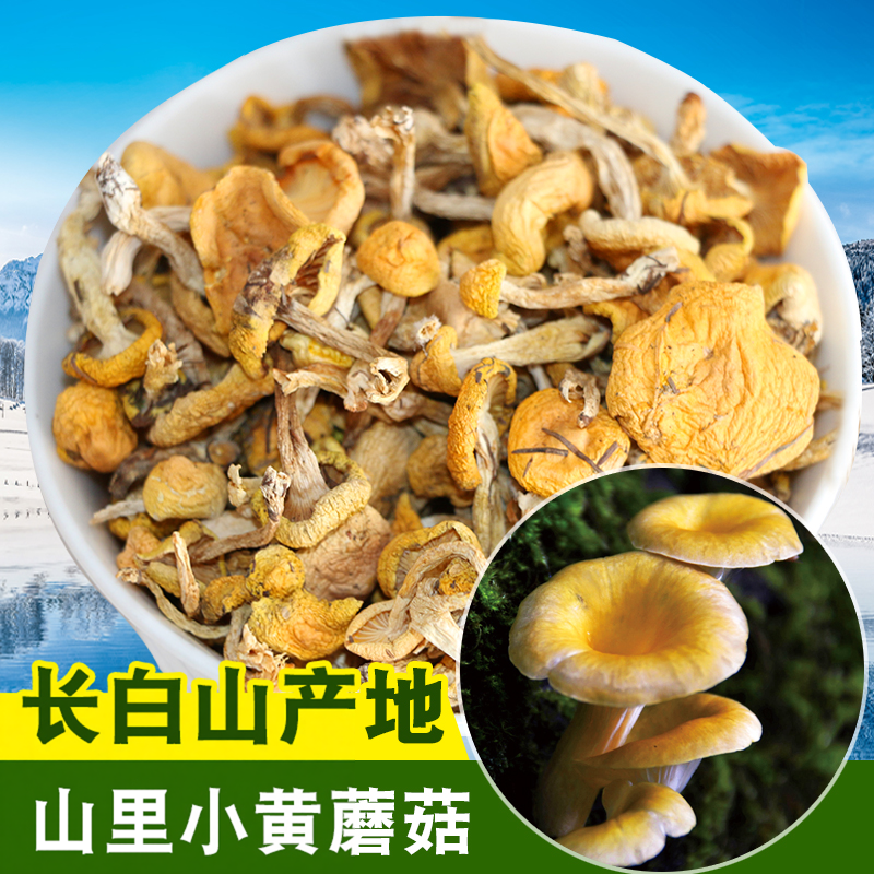 长白山小黄蘑滑子蘑小黄蘑菇小松蘑黄蘑250g特产