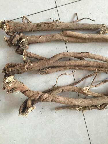东北长白山黄芪整根北芪250g黄芪片药食同源食品中药材店铺 - 封面