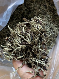 曼糯高山大树茶1000克价格芽头采摘良心品质，不掉坑不交学费