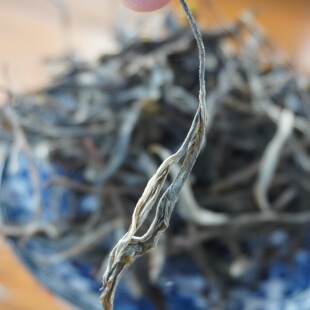 2025头春青栀古树 独家货源 回甘炸裂30分钟都不散 清纯高雅