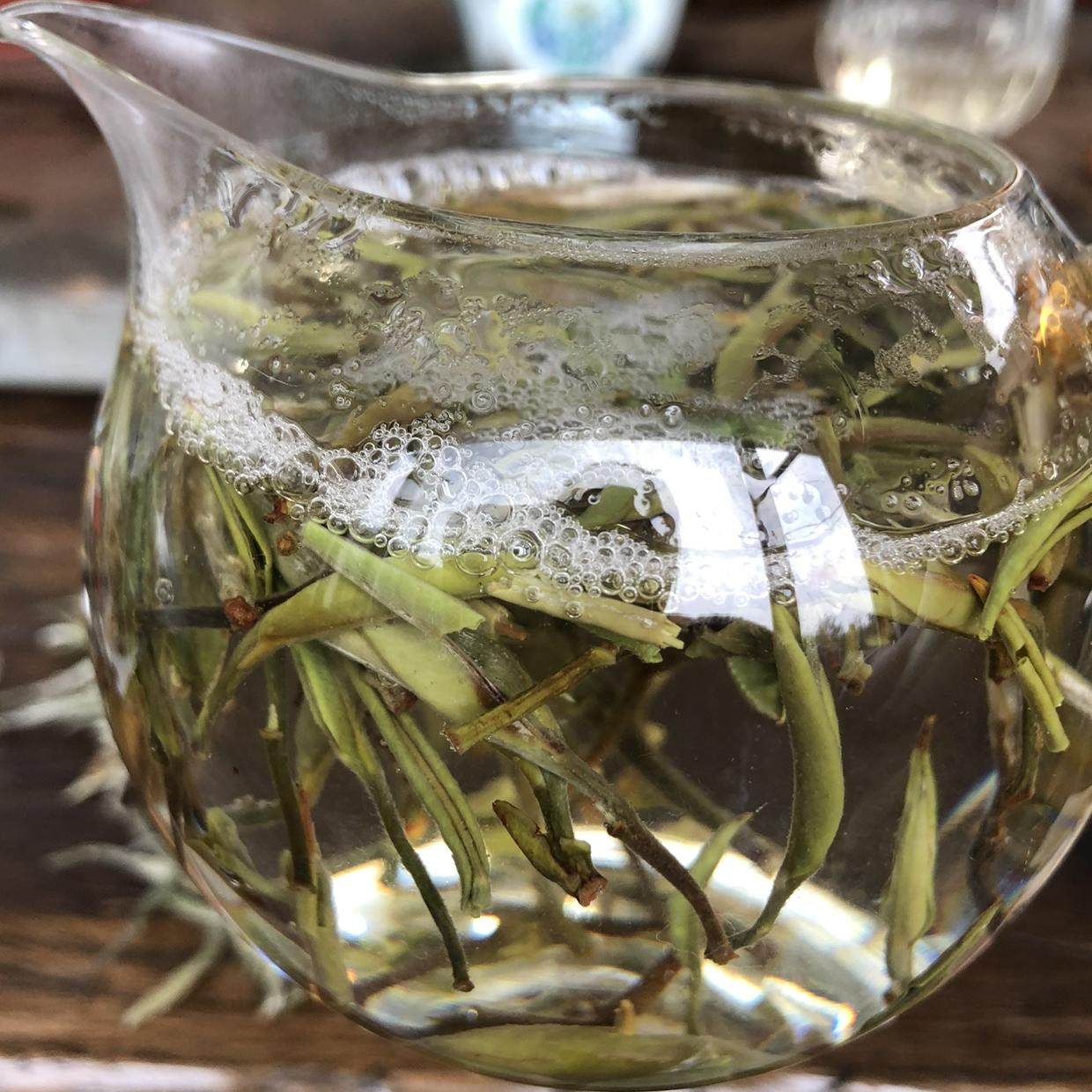 单株古树白茶“青羽” 100克的价格细腻甘甜醇厚饱满飘香气足
