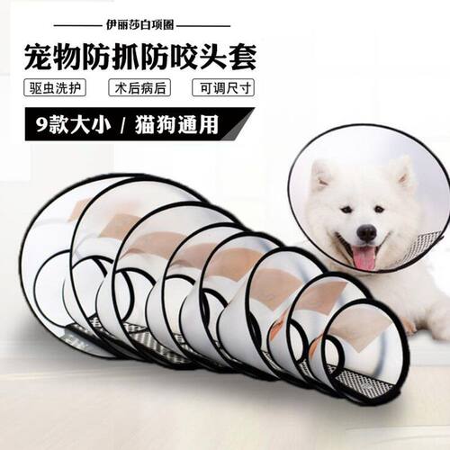 伊丽莎白圈狗狗猫咪项圈脖套防舔
