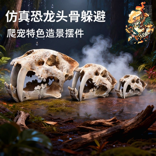 爬宠饲养箱动物恐龙头骨造景摆件守宫蜥蜴蜘蛛蛇龟爬虫造景躲避屋