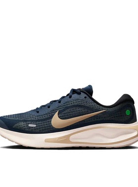 Nike Journey Run 跑鞋 缓 FN0228-403 M广东BB仓下单请看详情页P